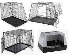 honden